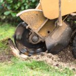 stump grinder closeup