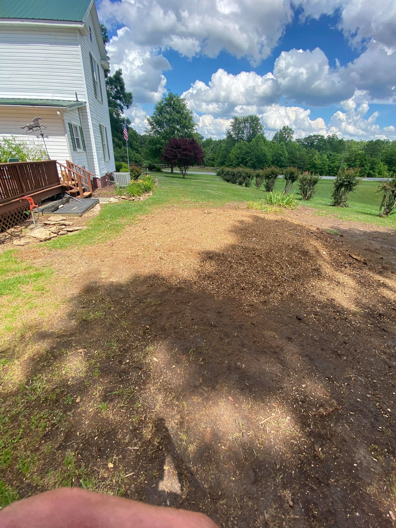 BEFORE - Ruffin stump